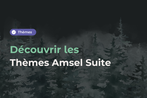theme amsel suite